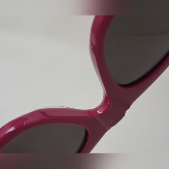 Balenciaga Sunglasses Fuschia Gray BB Temples Oval Cat Eye BB0095S 53-19-135 XL